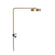 Rubn James Adjustable Metal LED Desk Lamp in Brass