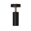 Rubn Joey Small H190 Ceiling Spotlight GU10 with Cup in Black/Brass