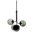 Rubn Lord H735 Bouquet 4-Light Pendant in Black/Smoked Glass