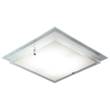 Dar Frame Double Layered Glass Square Flush Mount